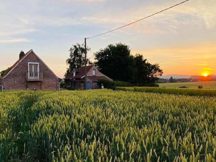 Cottage Chaleureux Au Coeur Des Monts De Flandres Saint-Jans-Cappel Zewnętrze zdjęcie
